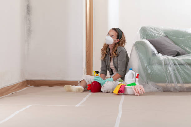 Reliable Commercial Mold Remediation contractor in Oyster Bay, NY by WQB Mold Removal